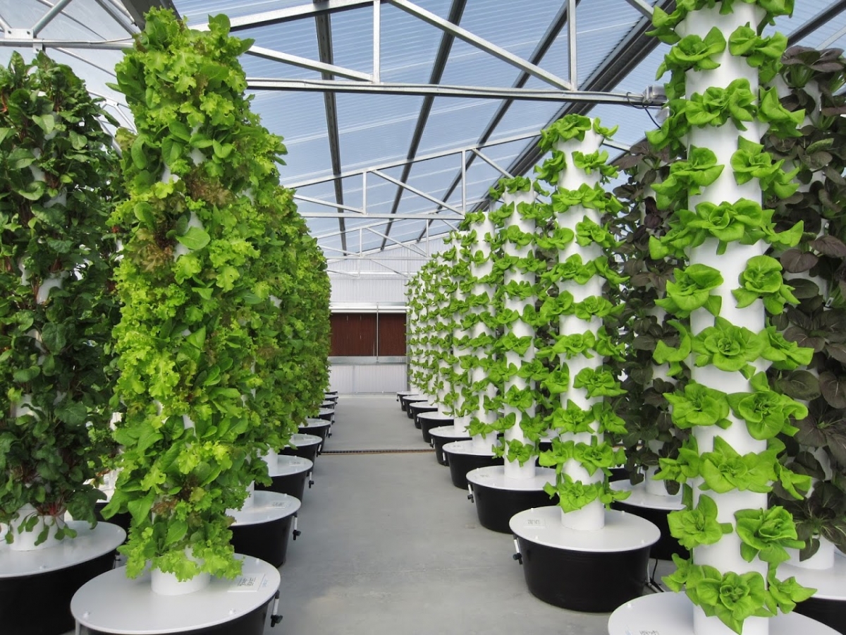 Nutraponics aeroponic garden tower: is it perfect for you? Find out here