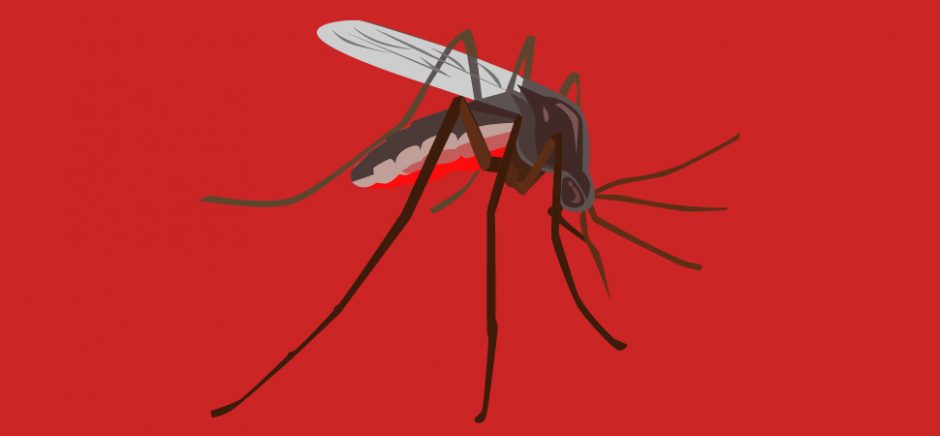 Mosquito on red background