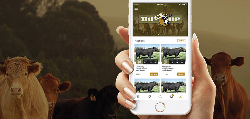 DustUp App Hopes to Lasso Cattle Ranchers Into Digital Age » Dallas  Innovates