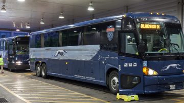 Greyhound buses at the terminal in downtown Dallas in April 2016. [Photo: typhoonski via istockphoto]