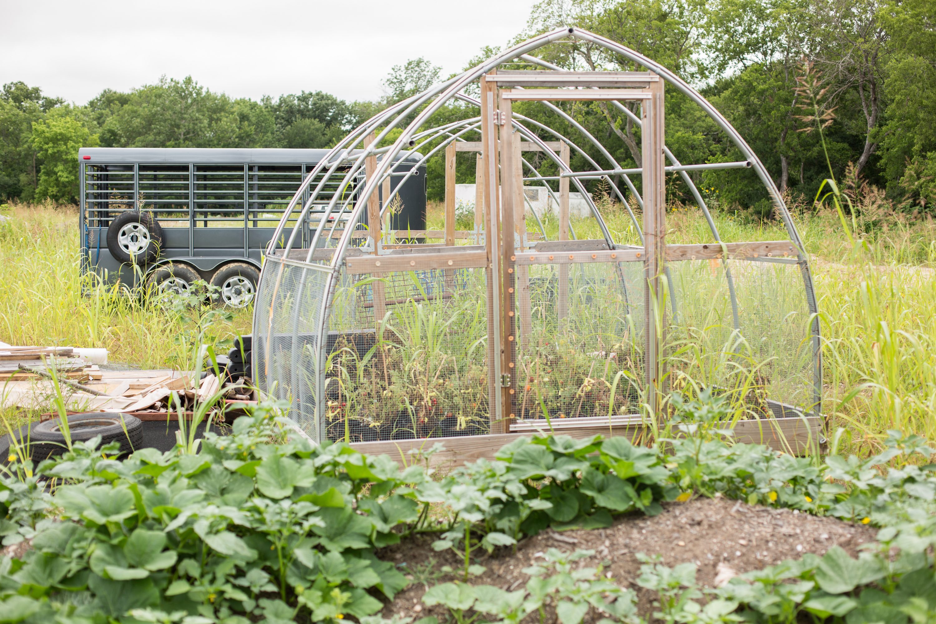 Small Greenhouse No Crop8016 » Dallas Innovates