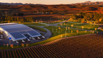 BRIT International Award of Excellence in Sustainable Winegrowing: Yealands Family Wines in New Zealand, which won the top prize in 2017, grazes a flock of miniature Babydoll sheep between vine rows to reduce mechanical mowing.