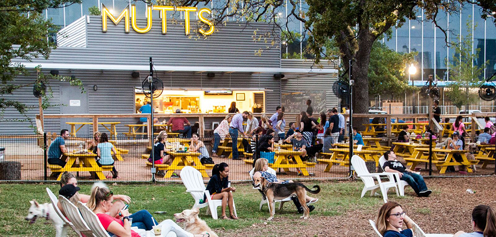 MUTTS Canine Cantina