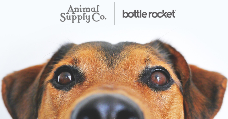 dog supply companies