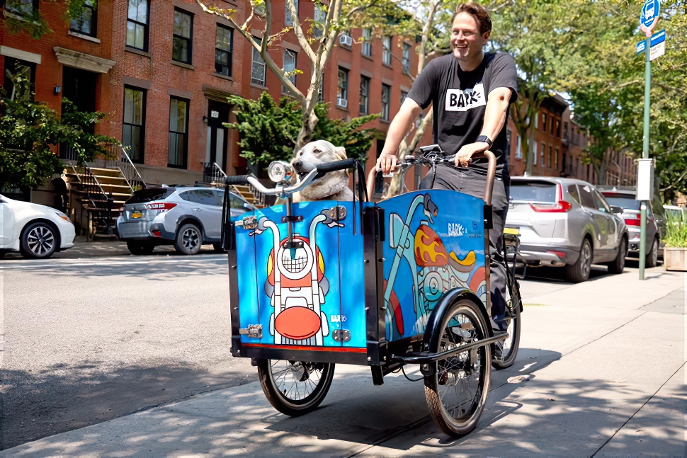 electric cargo bike kids