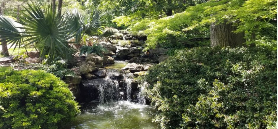 fort worth botanical garden collaborative partnership with BRIT