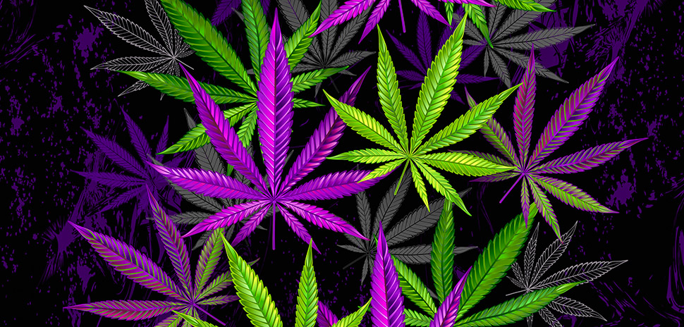 50 Piece Glow in the Dark Marijuana Weed Pot Leafs 