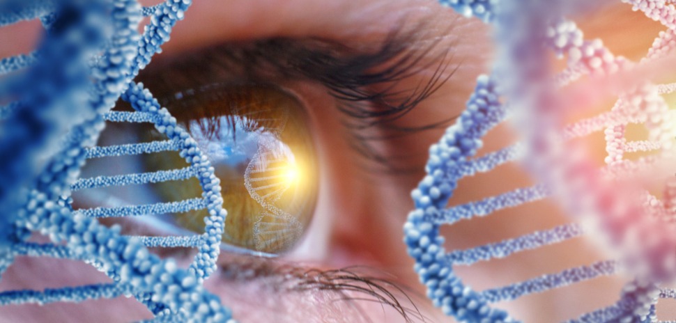EYE DNA DALLAS STARTUP GENE THERAPY
