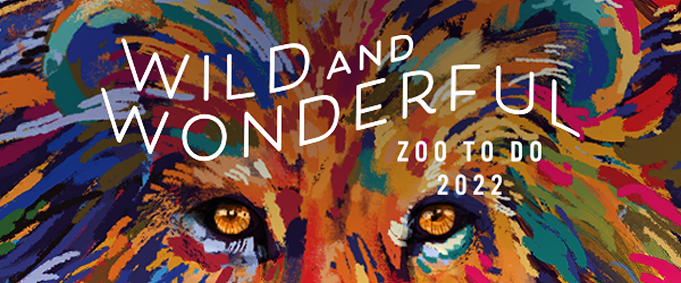 Wall of Philanthropy Installation at Galleria Showcases Dallas Zoo