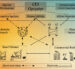 A newly granted patent for "Systems and Methods for Energy Crowdsourcing and Peer-to-Peer Energy Trading" has been assigned to the Board of Regents of the University of Texas System and Southern Methodist University, the patent outlines a system that enables distributed energy resources to be traded peer-to-peer across a power network