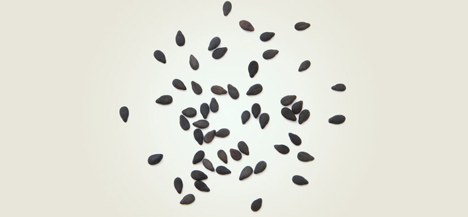 Organoids without blood vessels can't grow larger than sesame seeds—about 3 millimeters—before dying from lack of oxygen and nutrients. UNT and Stanford researchers say they've solved this problem. Seeds pictured above are not to scale. [Image: Pinchai Puntong/istockphoto]