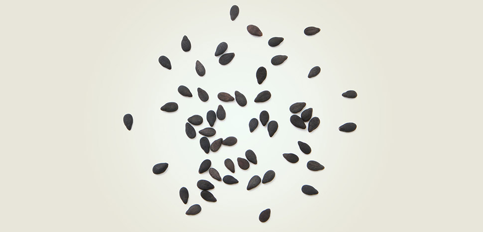 Organoids without blood vessels can't grow larger than sesame seeds—about 3 millimeters—before dying from lack of oxygen and nutrients. UNT and Stanford researchers say they've solved this problem. Seeds pictured above are not to scale. [Image: Pinchai Puntong/istockphoto]
