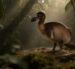 Dodo render